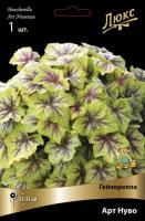 Гейхерелла Арт Нуво 1шт (Поиск)