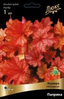 Гейхера Паприка 1шт (Поиск)
