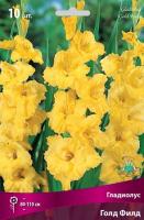 Гладиолус Голд Филд 10/12 10шт (Поиск)