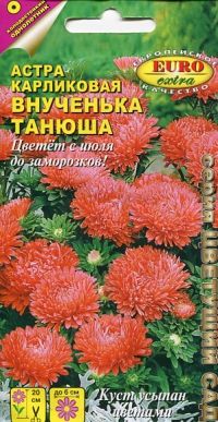 Астра Внученька Танюша карликовая 0,1г (АэлитаЭкстра)