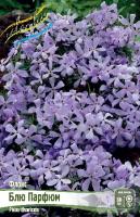 Флокс Блю Парфюм 2шт (Колорлайн)