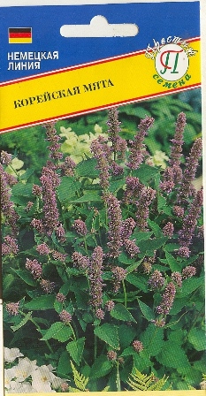 Мята корейская 0,05 гр (Престиж)