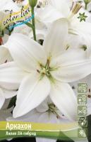 Лилия Аркахон (ЛА гибрид) 12/14 7шт (Колорлайн)
