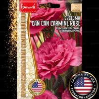 Эустома Can Can Carmine Rose однолетник 4шт (Ред.Сем)