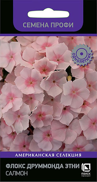 Флокс Друм Этни Салмон Профи однолетник 10шт (Поиск)