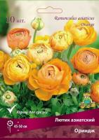 Лютик Ориндж 7/8 10шт (Поиск)