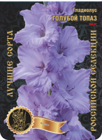 Гладиолус Голубой Топаз 584,Колганов 2 р-р 7шт (Ф)
