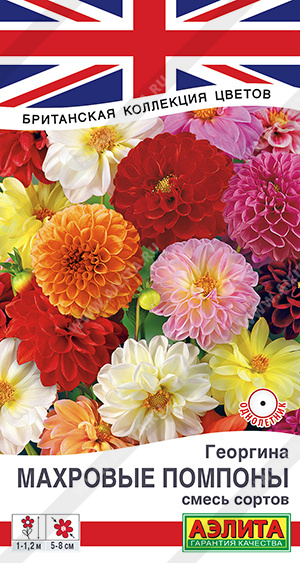 Георгина Махровые помпоны смесь однолетник 0,2г (Аэлита) Георгина Махровые помпоны смесь однолетник 0,2г (Аэлита)