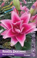 Лилия ROSELILY Джасмина (Восточная/Махровая) 12/14 5шт (Колорлайн)