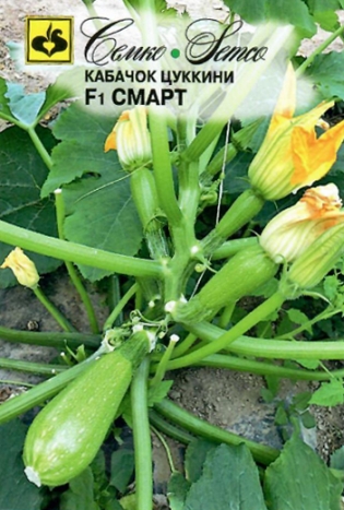 Кабачок Смарт F1 цуккини 5шт (Семко)