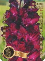 Гладиолус Игра Теней 469,Фотин 1 р-р 7шт (Ф)