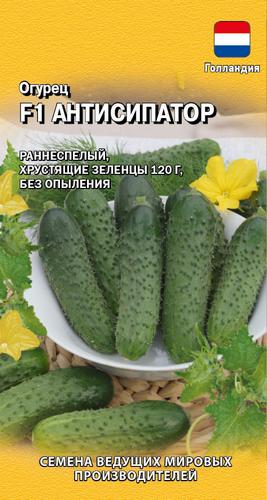 Огурец Антисипатор F1 5шт (Гавриш)