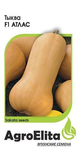 Тыква Атлас F1 мускатная 5шт (Агроэлита) Тыква Атлас F1 мускатная 5шт (Агроэлита)