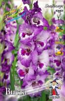 Гладиолус Виста 10/12 10шт (Колорлайн)