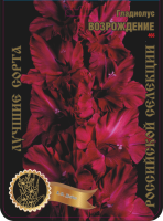 Гладиолус Возрождение 566,Дыбов 2 р-р 7шт (Ф)