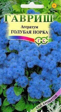 Агератум Голубая норка однолетник 0,05г (Гавриш) Агератум Голубая норка однолетник 0,05г (Гавриш)
