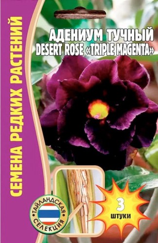 Адениум тучный Triple Magenta 3шт (Ред.Сем) Адениум тучный Triple Magenta 3шт (Ред.Сем)