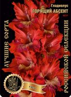 Гладиолус Горящий Абсент 467,Фотин Экстра 7шт (Ф)
