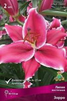 Лилия Зорро (Восточный гибрид) 12/14 3шт (Поиск)