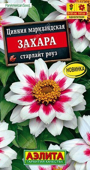 Цинния Захара старлайт роуз однолетник 5шт (Аэлита)