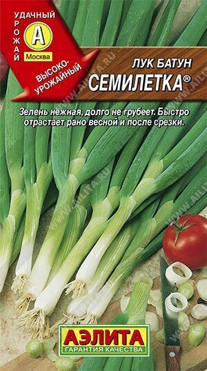 Лук Батун Семилетка 0,5г (Аэлита)