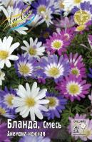 Анемона Бланда Смесь 5/6 10шт (Колорлайн)