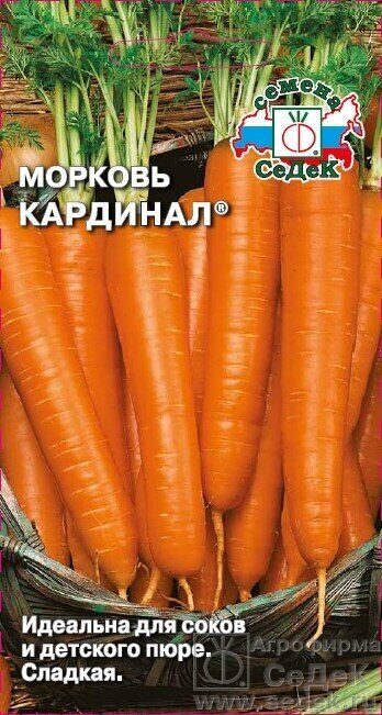 Идеи для срисовки морковь (90 фото)