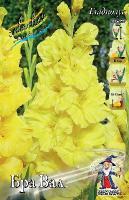 Гладиолус Бра Вал 10/12 10шт (Колорлайн)