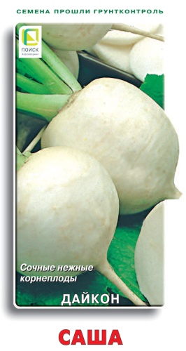 Дайкон Саша 1г (Поиск)