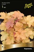 Гейхера Карамель 1шт (Поиск)