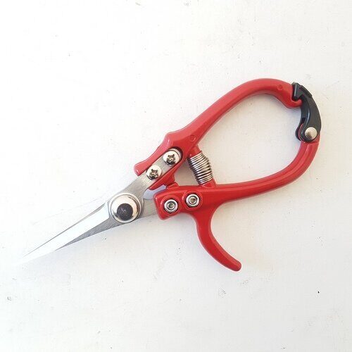 Ножницы SB1023-6 нерж сталь садовые (СС)(10шт) Ножницы SB1023-6 нерж сталь садовые (СС)(10шт)