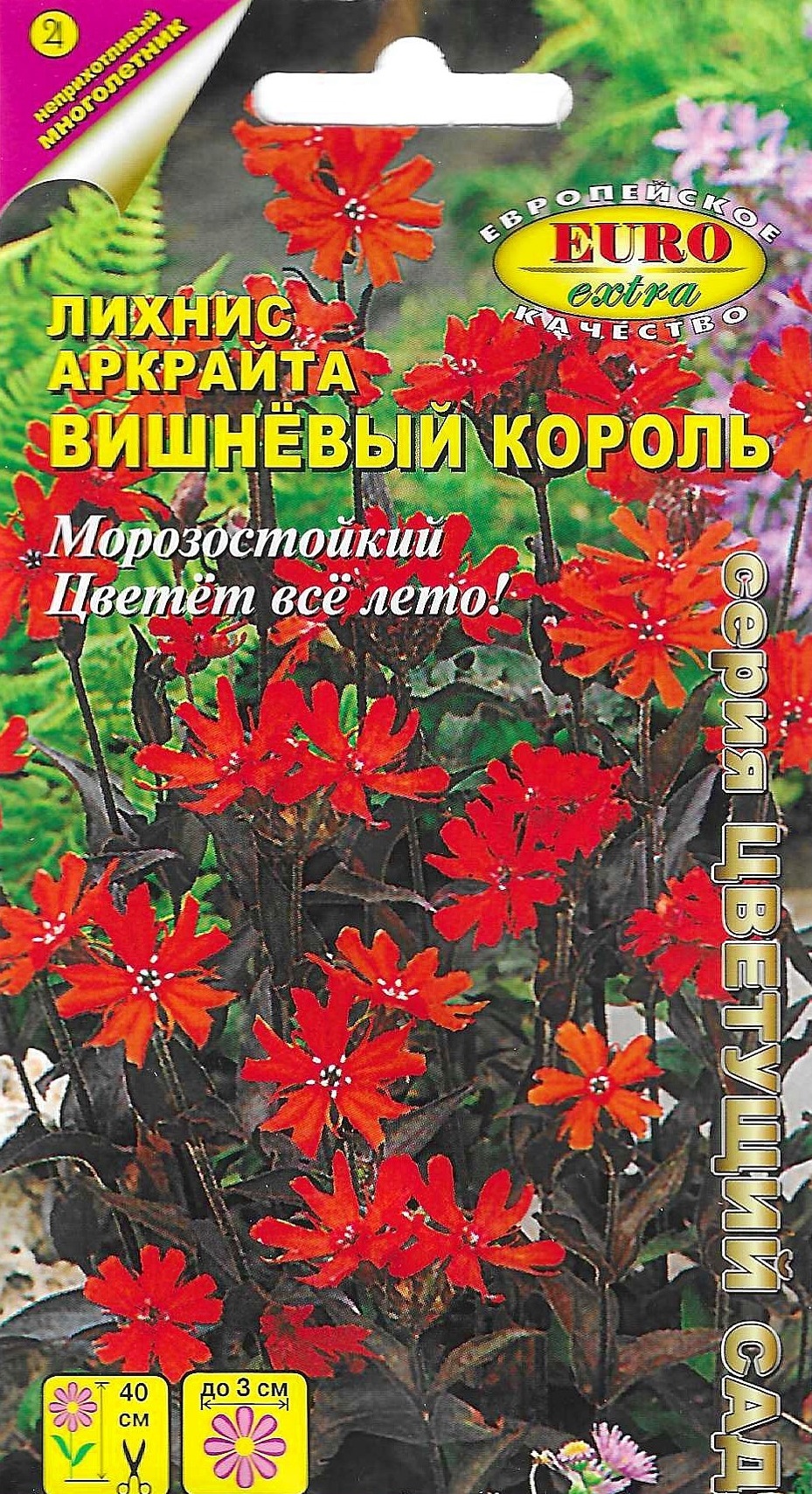 Лихнис семена. Лихнис вишневый Король. Лихтим вишневый Король. Лихнис Аркрайта. Лихнис вулкан многолетний.