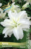 Лилия Ароза (Восточная/Махровая) 13/14 5шт (Колорлайн)