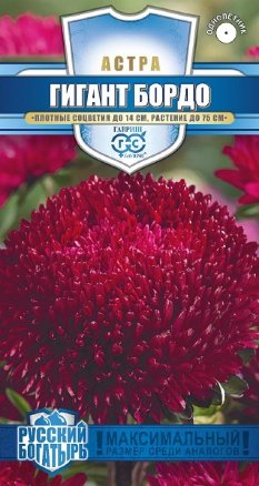 Астра Гигант Бордо Русский богатырь 0,05г (Гавриш)