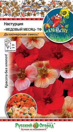 Настурция Медовый месяц ТФ смесь СамоРастет однолетник 15шт (НК) Настурция Медовый месяц ТФ смесь СамоРастет однолетник 15шт (НК)