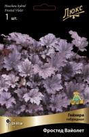 Гейхера Фростед Вайлет 1шт (Поиск)