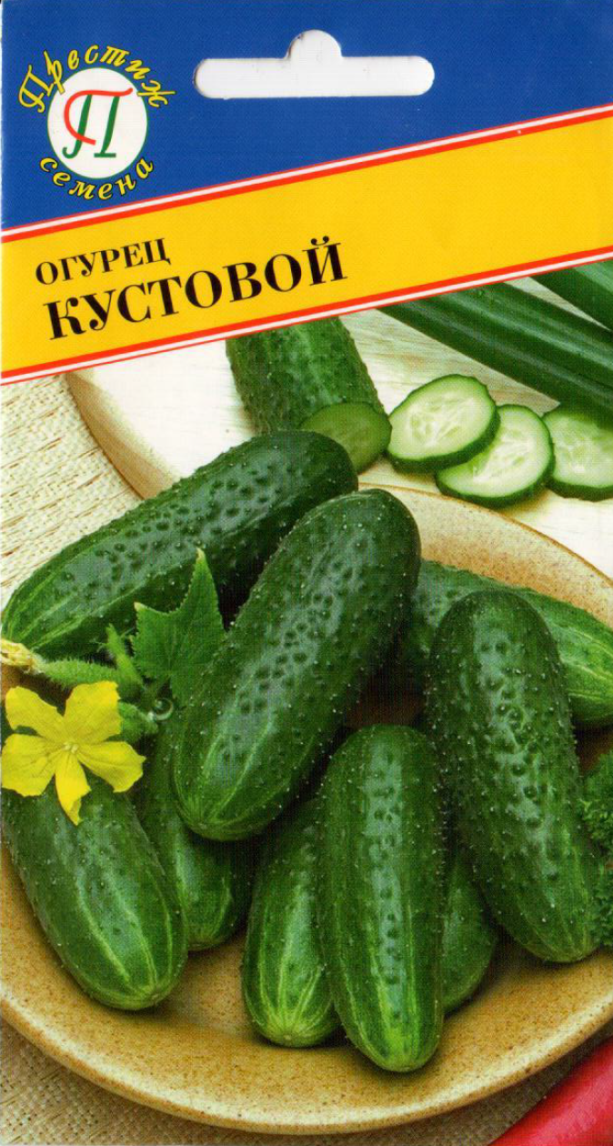 Огурец мишка f1. Огурцы и их сорта. Салатные сорта огурцов. Огурец берендей гавриш. Огурец корнишон мадрилене.