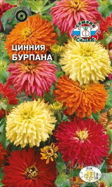 Цинния Бурпана смесь однолетник 0,5г (Седек)