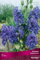Аконит Арендси 1шт (Поиск)