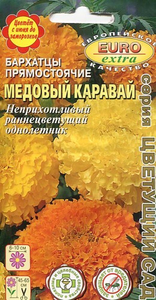 Медовые бархатцы. Бархатцы прямостоячие смесь. Бархатцы медовые. Бархатцы Алюмия Ванилла.