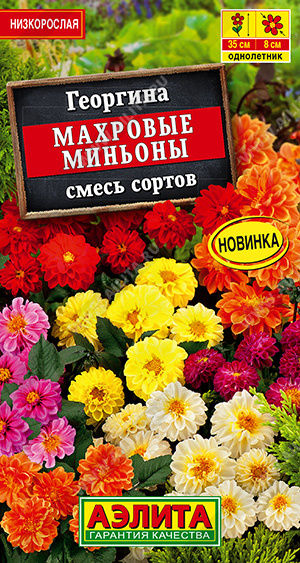 Георгина Махровые миньоны смесь однолетник 7шт (Аэлита)