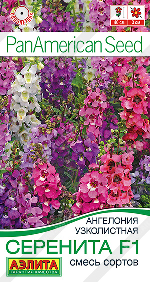 Ангелония Серенита F1 однолетник 3шт (Аэлита) Ангелония Серенита F1 однолетник 3шт (Аэлита)
