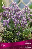 Аконит Биколор 1шт (Поиск)