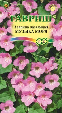 Азарина Музыка моря однолетник 4шт (Гавриш)