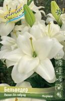 Лилия Бельведер (ЛА гибрид/Махровая) 12/14 5шт (Колорлайн)