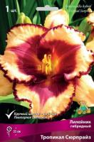 Лилейник Тропикал Сюрпрайз 1шт (Поиск)