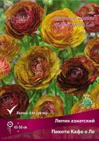 Лютик Пикоти Кафе О Ле 7/8 10шт (Поиск)