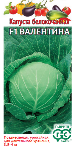 Капуста белокочанная Валентина F1 10шт (Гавриш) 