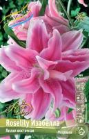 Лилия ROSELILY Изабелла (Восточная/Махровая) 12/14 5шт (Колорлайн)