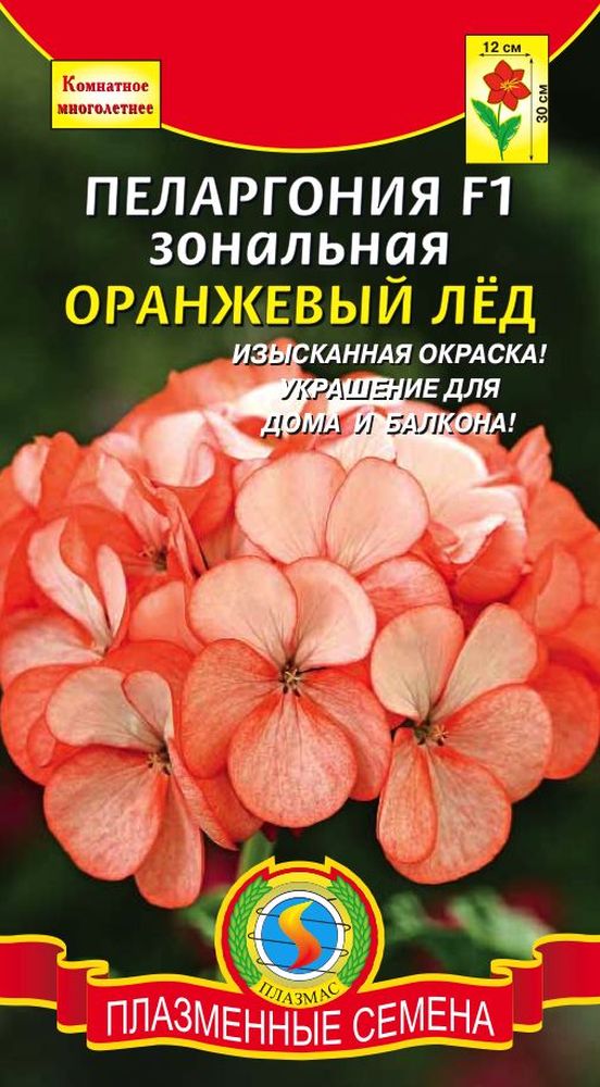 Семена Цветов Купить Герань